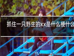 抓住一只野生的xx是什么梗什么梗