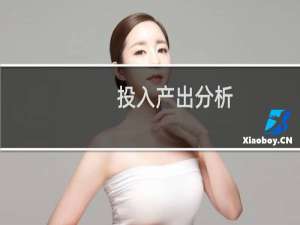 投入产出分析