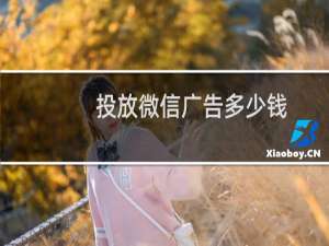 投放微信广告多少钱