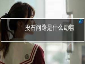 投石问路是什么动物（（投石问路是什么生肖动物））