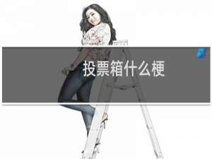 投票箱什么梗