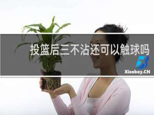 投篮后三不沾还可以触球吗