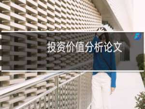 投资价值分析论文