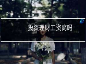 投资理财工资高吗