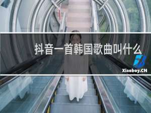 抖音一首韩国歌曲叫什么