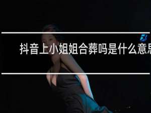 抖音上小姐姐合葬吗是什么意思，怎么幽默回复反撩什么梗