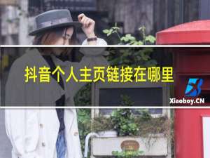 抖音个人主页链接在哪里找