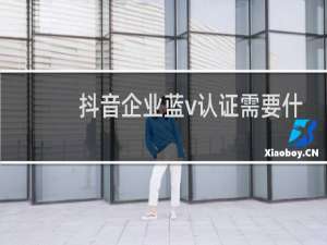 抖音企业蓝v认证需要什么资料