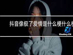 抖音像极了爱情是什么梗什么梗