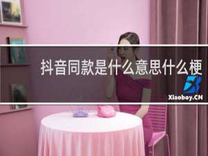 抖音同款是什么意思什么梗