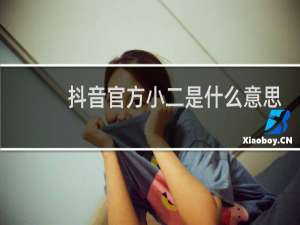 抖音官方小二是什么意思