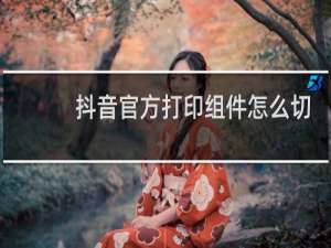 抖音官方打印组件怎么切换