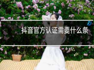 抖音官方认证需要什么条件