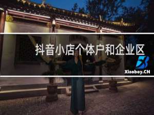 抖音小店个体户和企业区别
