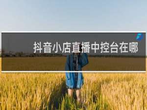 抖音小店直播中控台在哪里打开