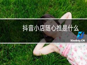 抖音小店随心推是什么