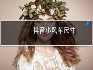 抖音小风车尺寸