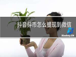 抖音抖币怎么提现到微信