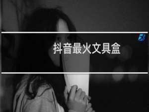 抖音最火文具盒