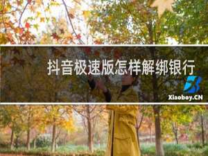 抖音极速版怎样解绑银行卡