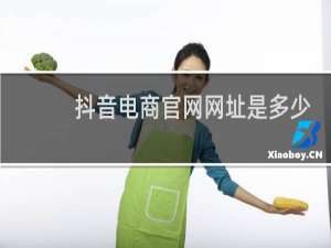 抖音电商官网网址是多少