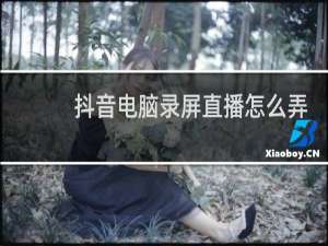抖音电脑录屏直播怎么弄