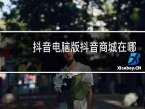 抖音电脑版抖音商城在哪里