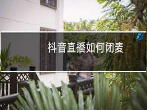 抖音直播如何闭麦
