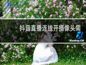 抖音直播连线开摄像头需要认证吗