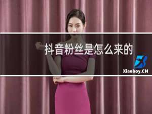 抖音粉丝是怎么来的