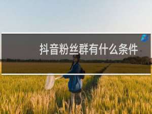 抖音粉丝群有什么条件