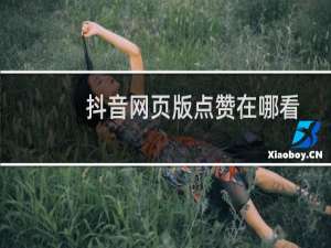 抖音网页版点赞在哪看