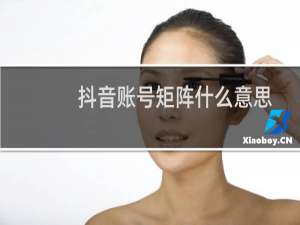 抖音账号矩阵什么意思