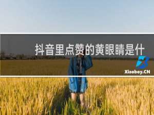 抖音里点赞的黄眼睛是什么意思