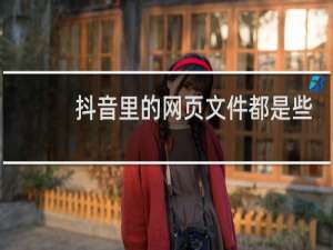 抖音里的网页文件都是些什么