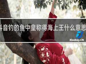 抖音钓的鱼中皇称得海上王什么意思什么梗