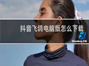抖音飞鸽电脑版怎么下载