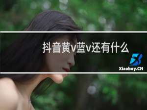 抖音黄v蓝v还有什么