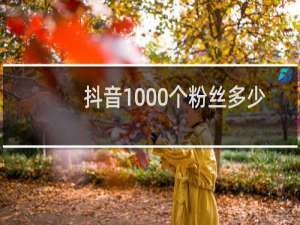 抖音1000个粉丝多少钱