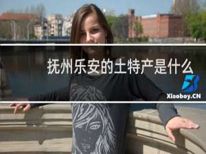 抚州乐安的土特产是什么