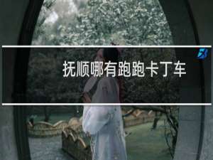抚顺哪有跑跑卡丁车