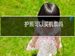 护照可以买机票吗