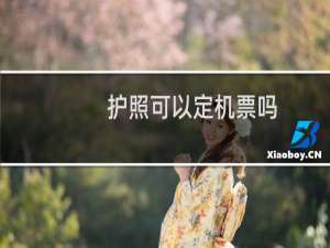 护照可以定机票吗