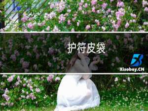 护符皮袋 艾尔登法环