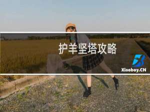 护羊坚塔攻略