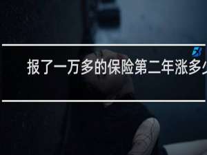 报了一万多的保险第二年涨多少