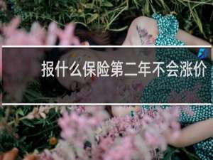 报什么保险第二年不会涨价