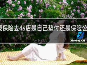 报保险去4s店是自己垫付还是保险公司付款