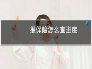 报保险怎么查进度