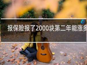 报保险报了2000块第二年能涨多少